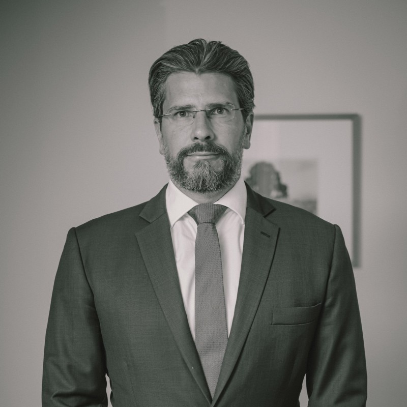 Marcelo Botelho de Mesquita